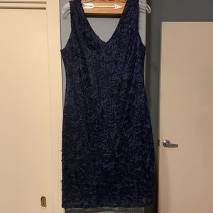 Blu Sage Navy Blue Lace Overlay Dress